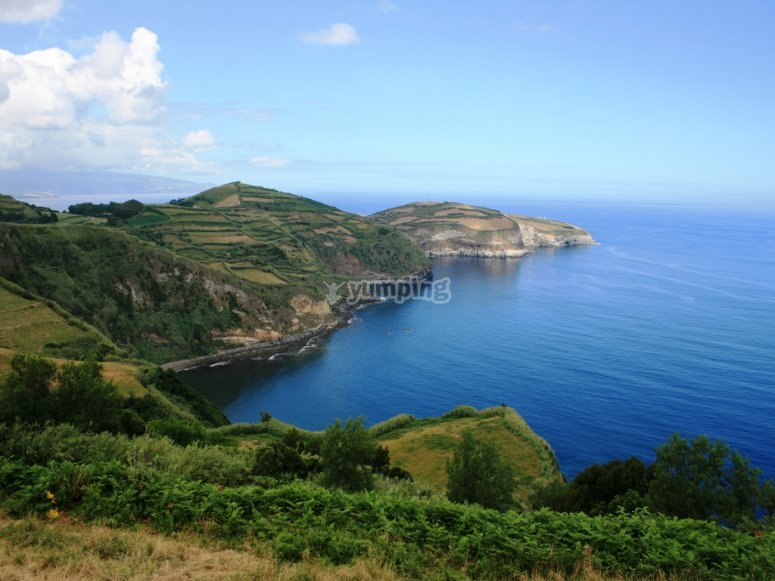 ¿Por qué bucear en las Azores?